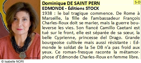 Dominique DE SAINT PERN © Isabelle NORI