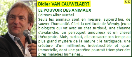Didier VAN CAUWELEART